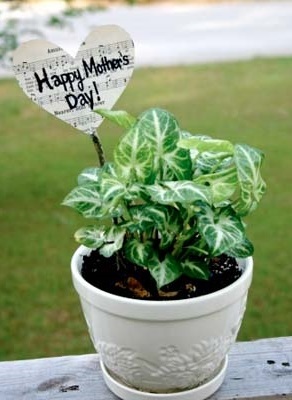 Musical Mothers Day Plant Flag