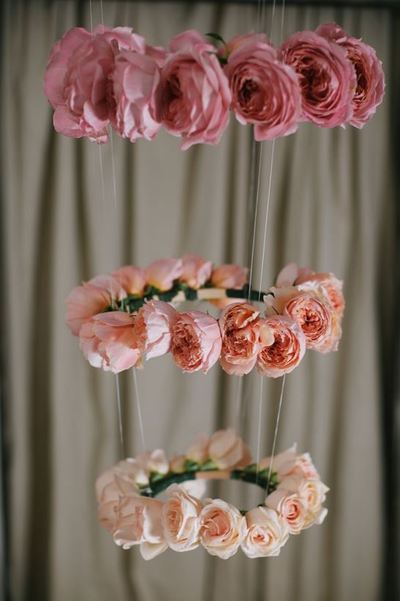 Unbelievable Ombre Suspended Roses Unbelievable Ombre Suspended Roses