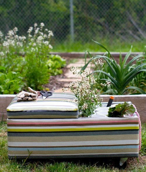 Sit N' Seed Sit N Seed