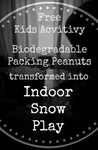 Summer Snow Fun Project