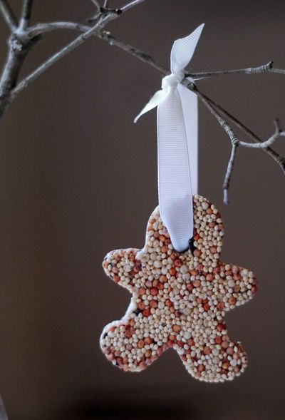Easy Birdseed Ornaments Easy Birdseed Ornaments