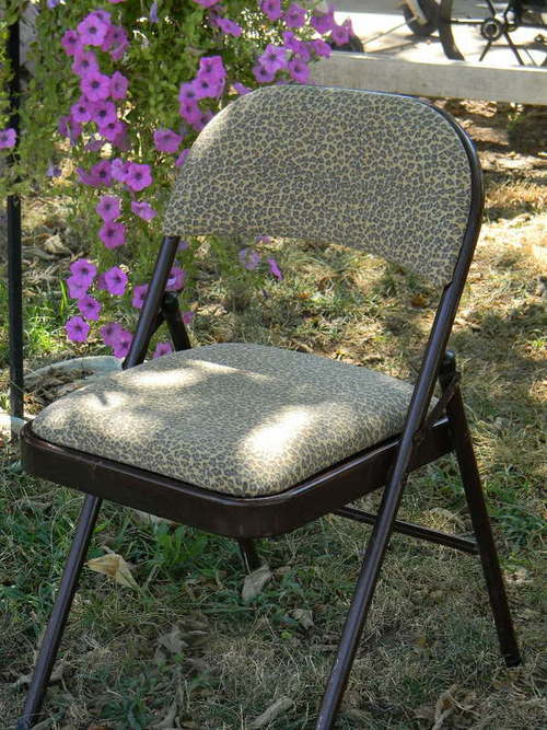 Reupholstered Chair Cushions