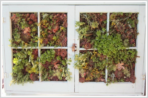 DIY Vintage Vertical Succulent Garden DIY Vintage Vertical Succulent Garden