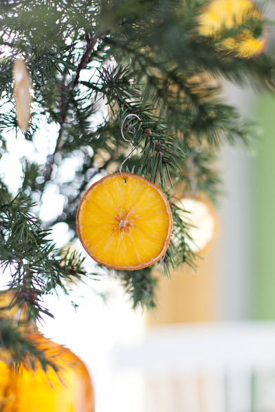 Dried Citrus Ornaments