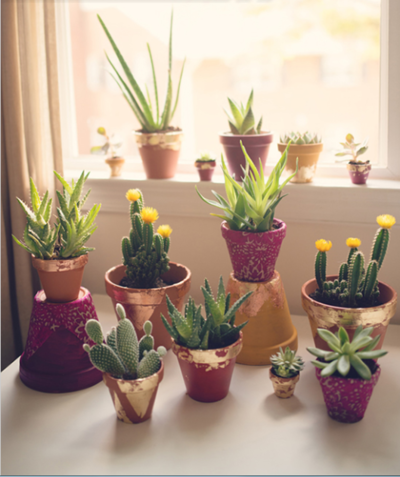 Terra Cotta Simple Wedding Centerpieces