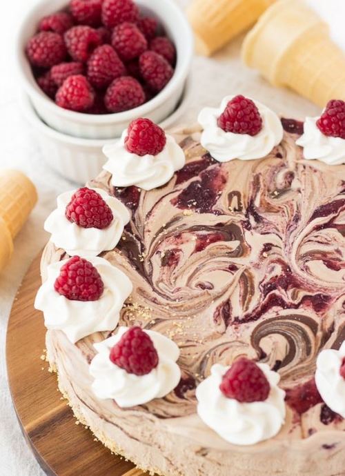 Nutella and Raspberry Swirl Ice Cream Cake