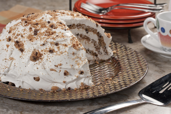 Chocolate Chip Dome Chocolate Chip Dome