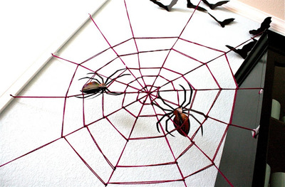 Giant Yarn Spider Web