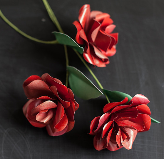 Long Stemmed Red Rose Long Stemmed Red Rose