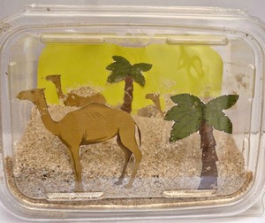 Desert In A Box: Biome Diorama