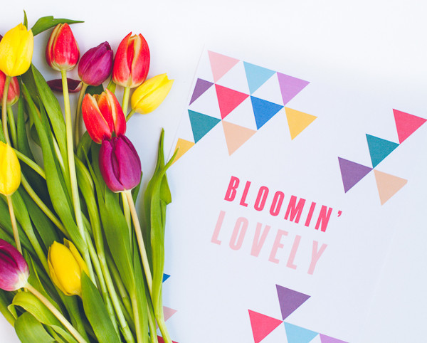Colorful Flower Wrap Free Printable Colorful Flower Wrap Free Printable