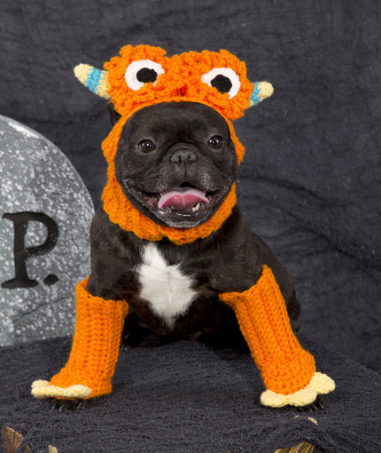 Ferocious Pooch Costume