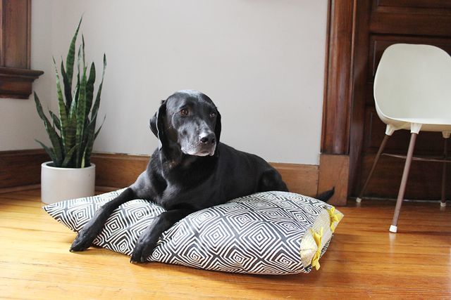 dog bed diy washable patterns printable pattern pet easy sew making