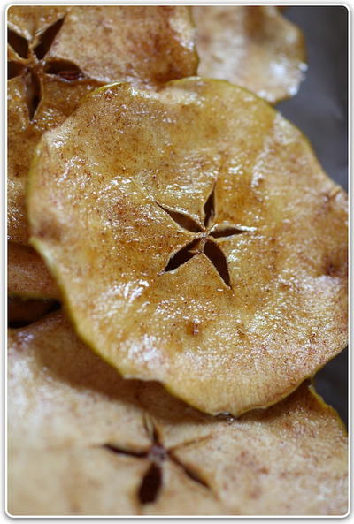Homemade Healthy Apple Chips Homemade Healthy Apple Chips