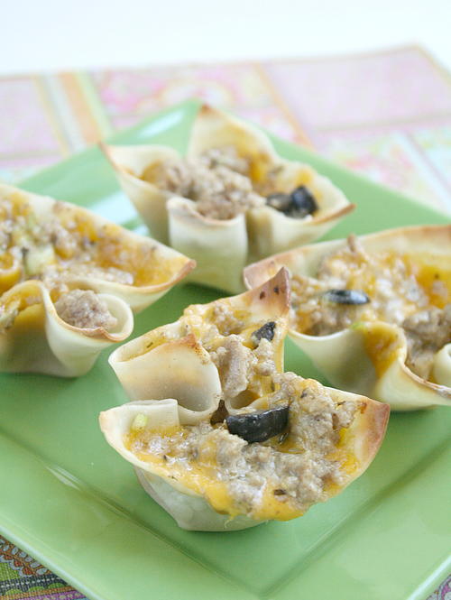 Cheesy Ranch Ground Turkey Wontons Cheesy Ranch Ground Turkey Wontons