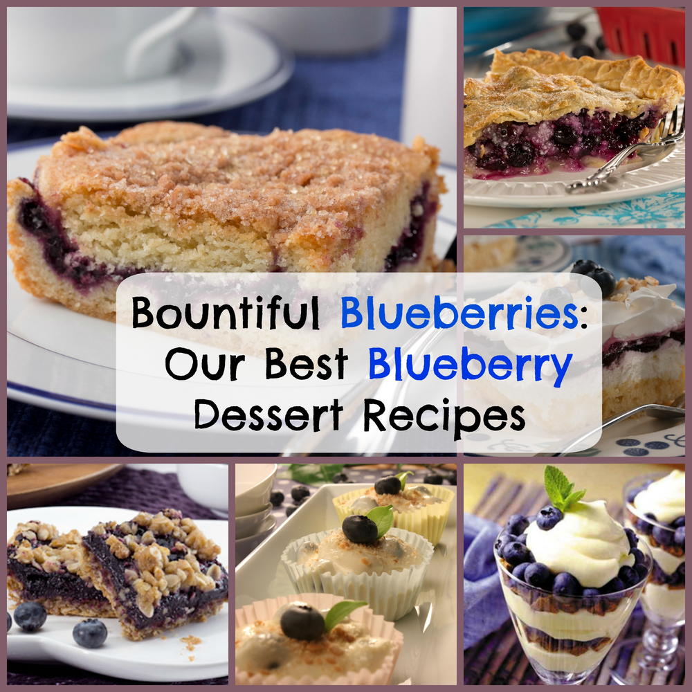 Blueberry Dessert Recipes