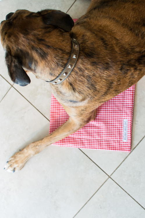 Animal Cage Comforters Animal Cage Comforters