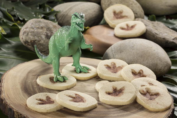 Fossil Cookies Fossil Cookies