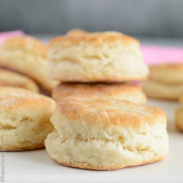 Homemade Honey Cream Cheese Biscuits Honey Cream Cheese Biscuits