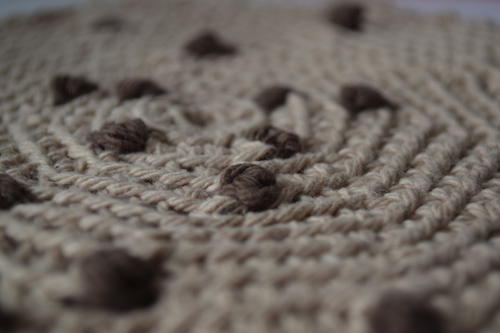 Chocolate Chip Cookie Hot Pad