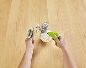 Winter Frost DIY Succulent Planters Winter Frost DIY Succulent Planters