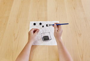 Crystal Ball and Spider Den Crystal Ball and Spider Den