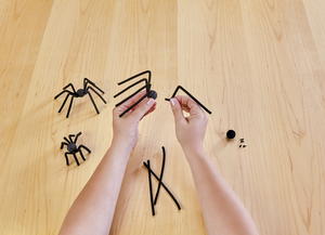 Crystal Ball and Spider Den Crystal Ball and Spider Den