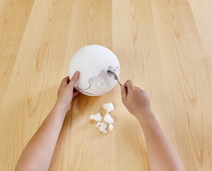 Crystal Ball and Spider Den Crystal Ball and Spider Den