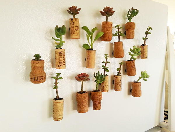 Succulent Wine Cork Planter Magnets Succulent Wine Cork Planter Magnets