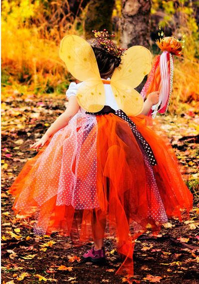 Fall Fairy Costume Fall Fairy Costume