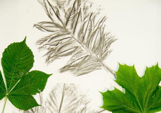 Charcoal Leaf Art