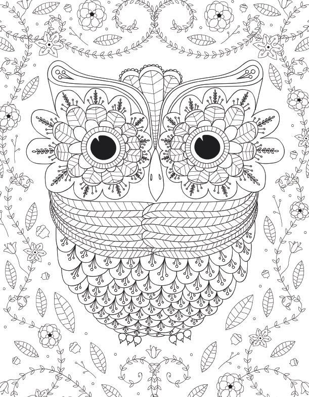 Big Eyed Owl Adult Coloring Page FaveCraftscom