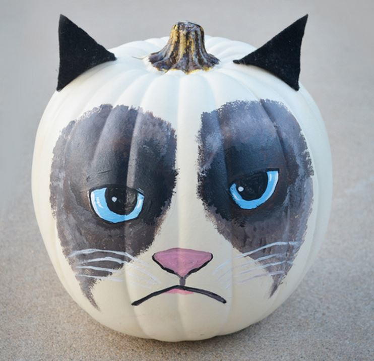 Grumpy Cat Painted Pumpkin | AllFreeHolidayCrafts.com