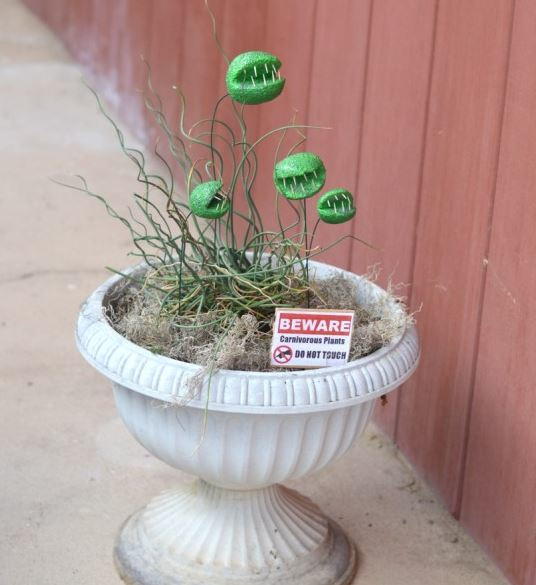 Carnivorous Plants Halloween Decor Carnivorous Plants Halloween Decor