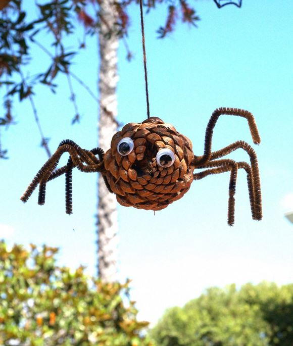 Pine Cone Spider Pine Cone Spider