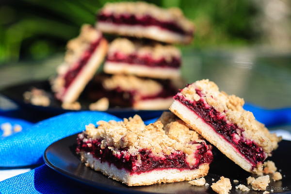 Blackberry Crumble Dessert Bars Blackberry Crumble Dessert Bars