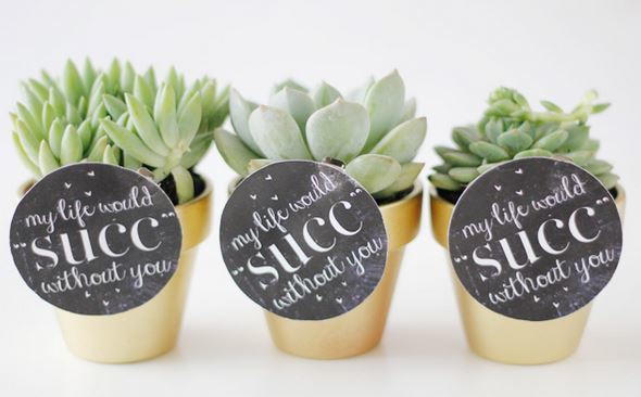 Punny Succulent Valentines Gift Punny Succulent Valentines Gift