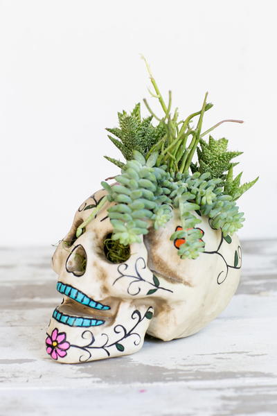 Easy Skull Centerpiece Easy Skull Centerpiece