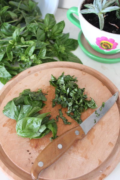 How to Preserve Fresh Basil in Winter How to Preserve Fresh Basil in Winter