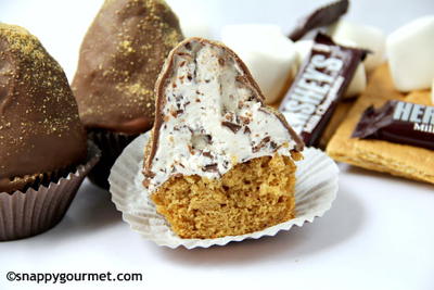 Chunky Delicious S'mores Dipped Cupcakes
