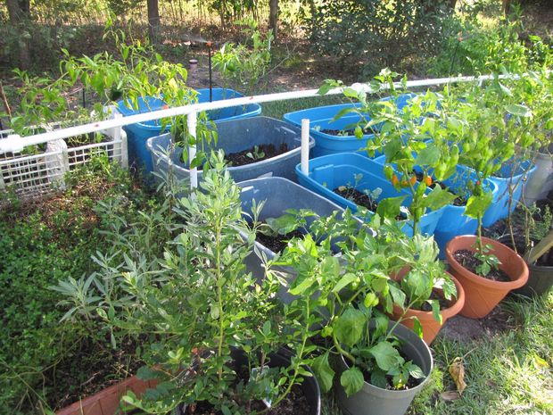 DIY PVC Garden Watering System | DIYIdeaCenter.com