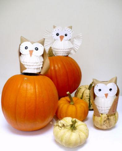 Toilet Tube Hooty Owls Toilet Tube Hooty Owls