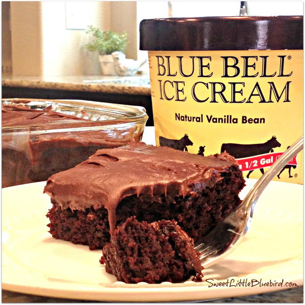 Chocolate Mint Crazy Cake Chocolate Mint Crazy Cake