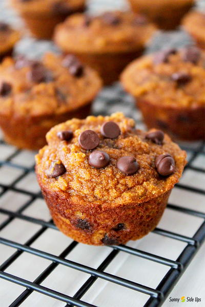 Paleo Chocolate Chip Pumpkin Mini Muffins Paleo Chocolate Chip Pumpkin Mini Muffins