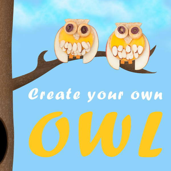 Owl Snack Owl Snack