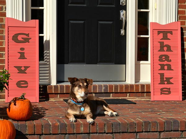 Repurposed Wood Shutters Thanksgiving Sign