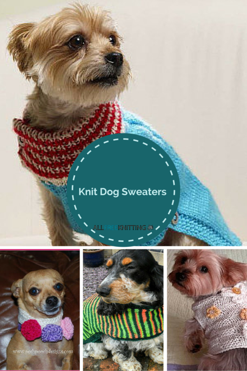 Knitting for Pets: 22 Knit Dog Sweaters Knitting for Pets: 22 Knit Dog Sweaters