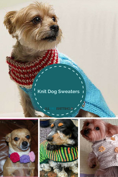 Knitting for Pets: 22 Knit Dog Sweaters