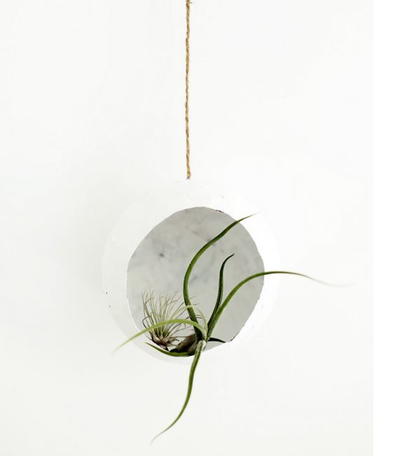 Artsy Paper Mache Airplant Pod