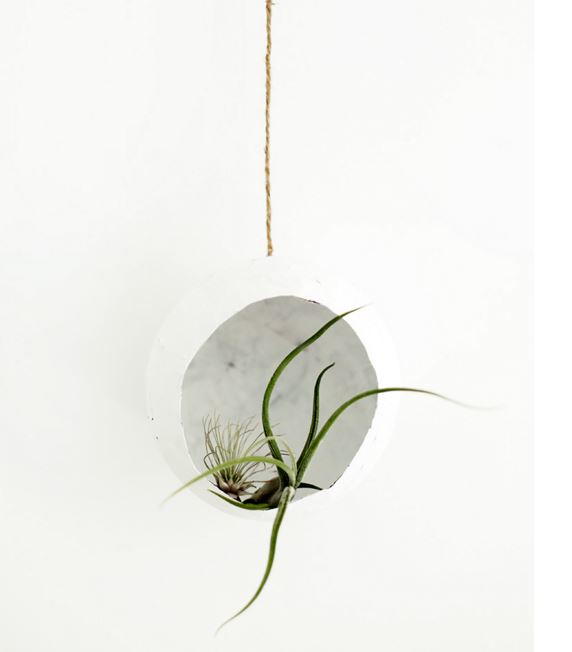 Artsy Paper Mache Airplant Pod Artsy Paper Mache Airplant Pod